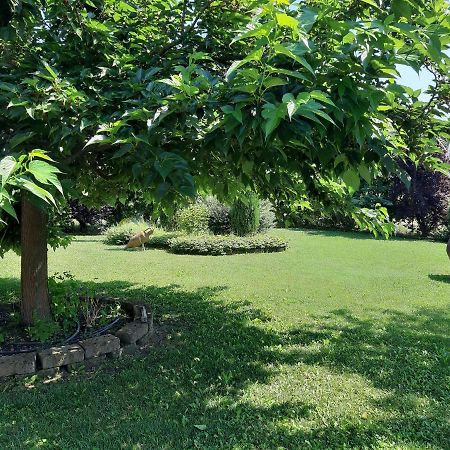 Casa Massimo Hotel Altedo Zewnętrze zdjęcie